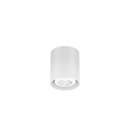 Ray Mini 1.0 PAR16 Plafonniers