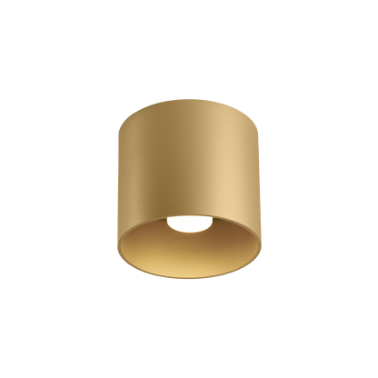 Ray 1.0 LED Colour warm dimming Plafonniers