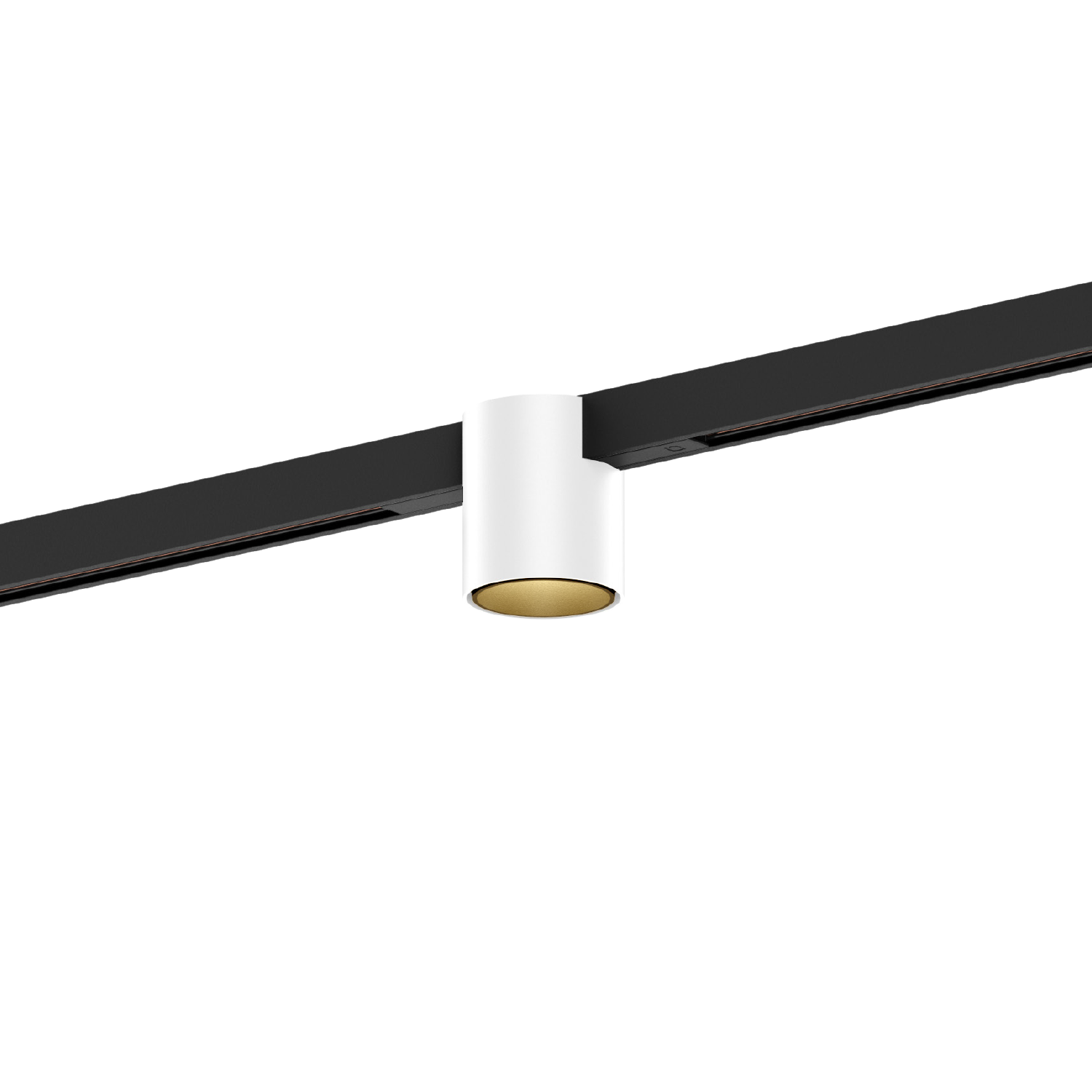 Blanc mat + Champagne (Rail noir)