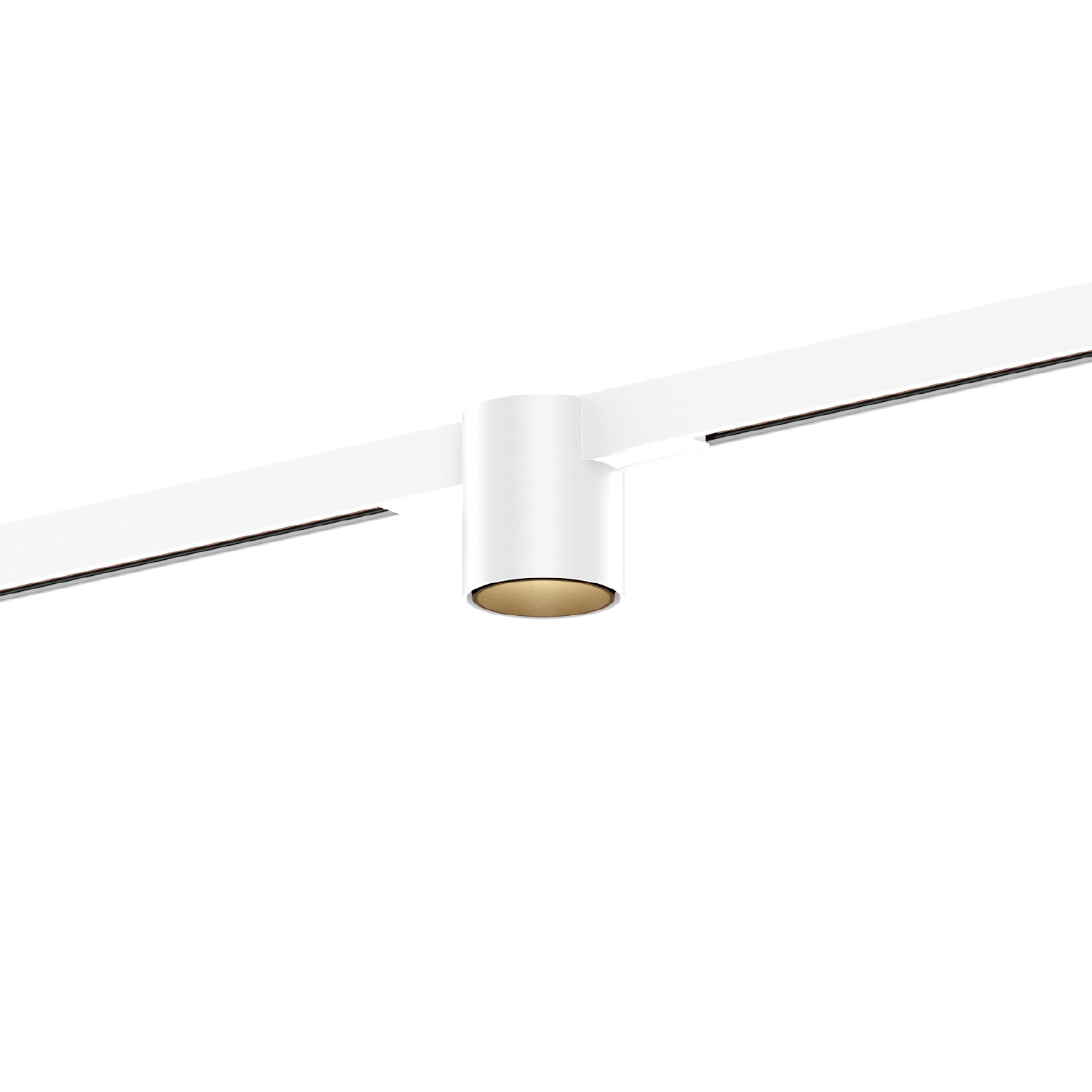 Blanc mat + Champagne (Rail blanc)
