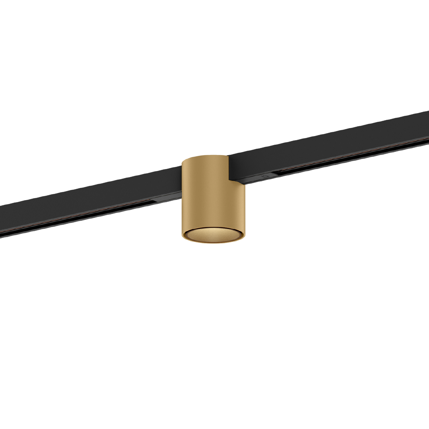 Champagne (Rail noir)