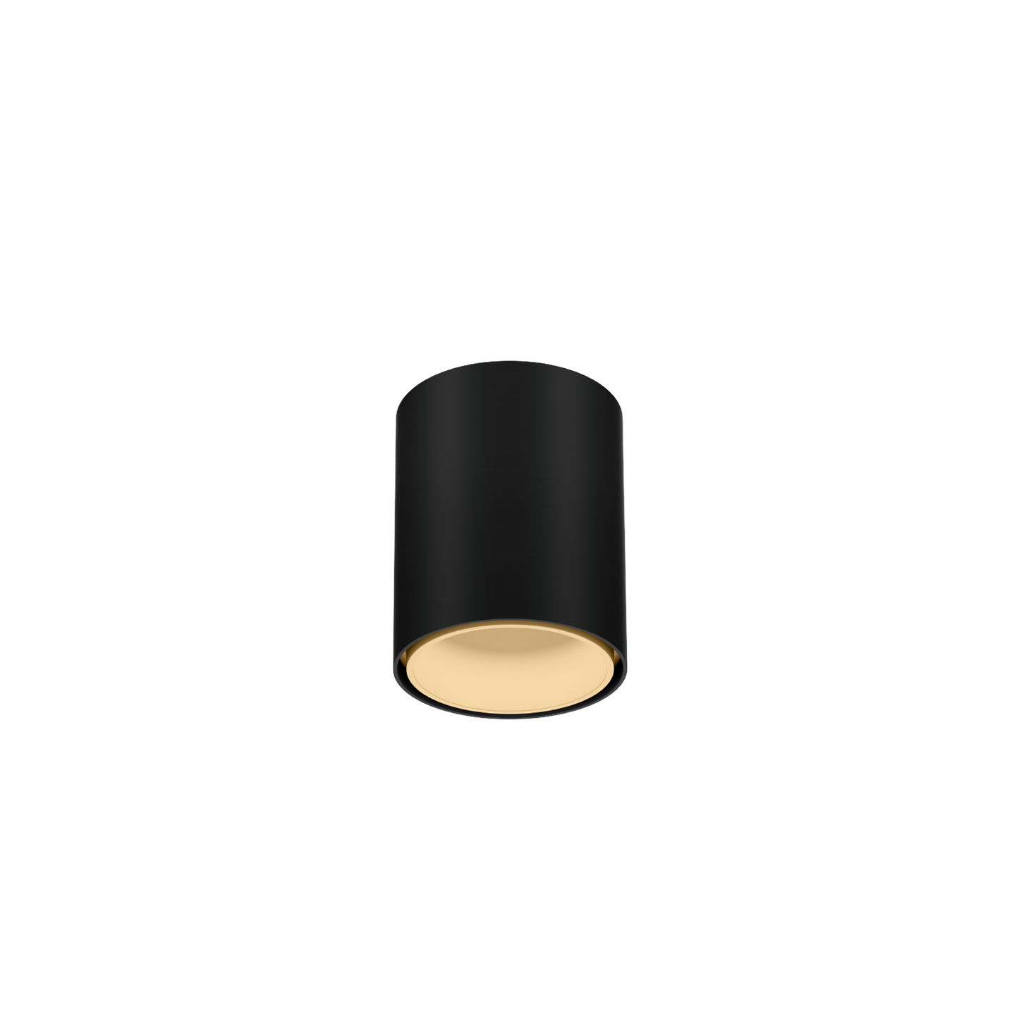 Ray Mini 1.0 LED 2700K Plafonniers