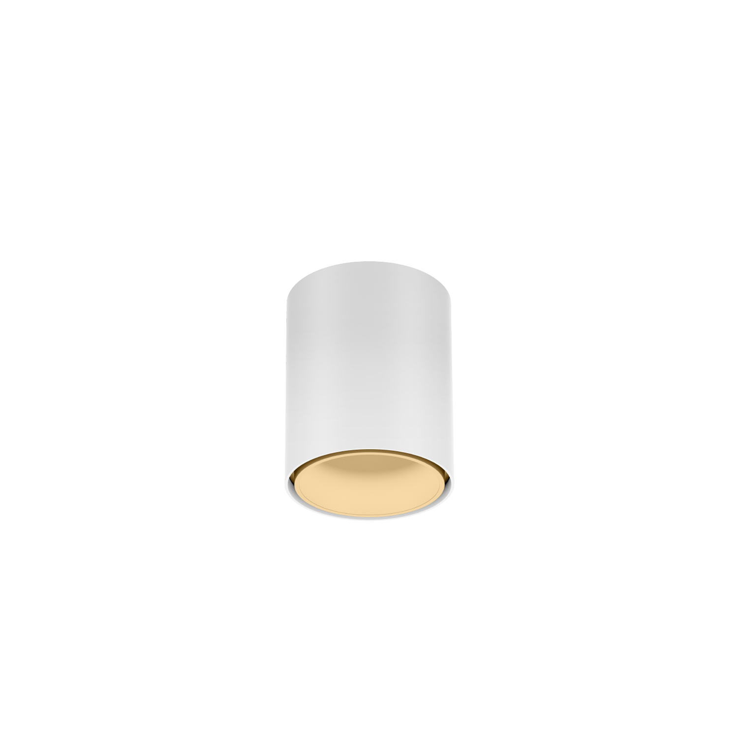 Blanc mat + Champagne