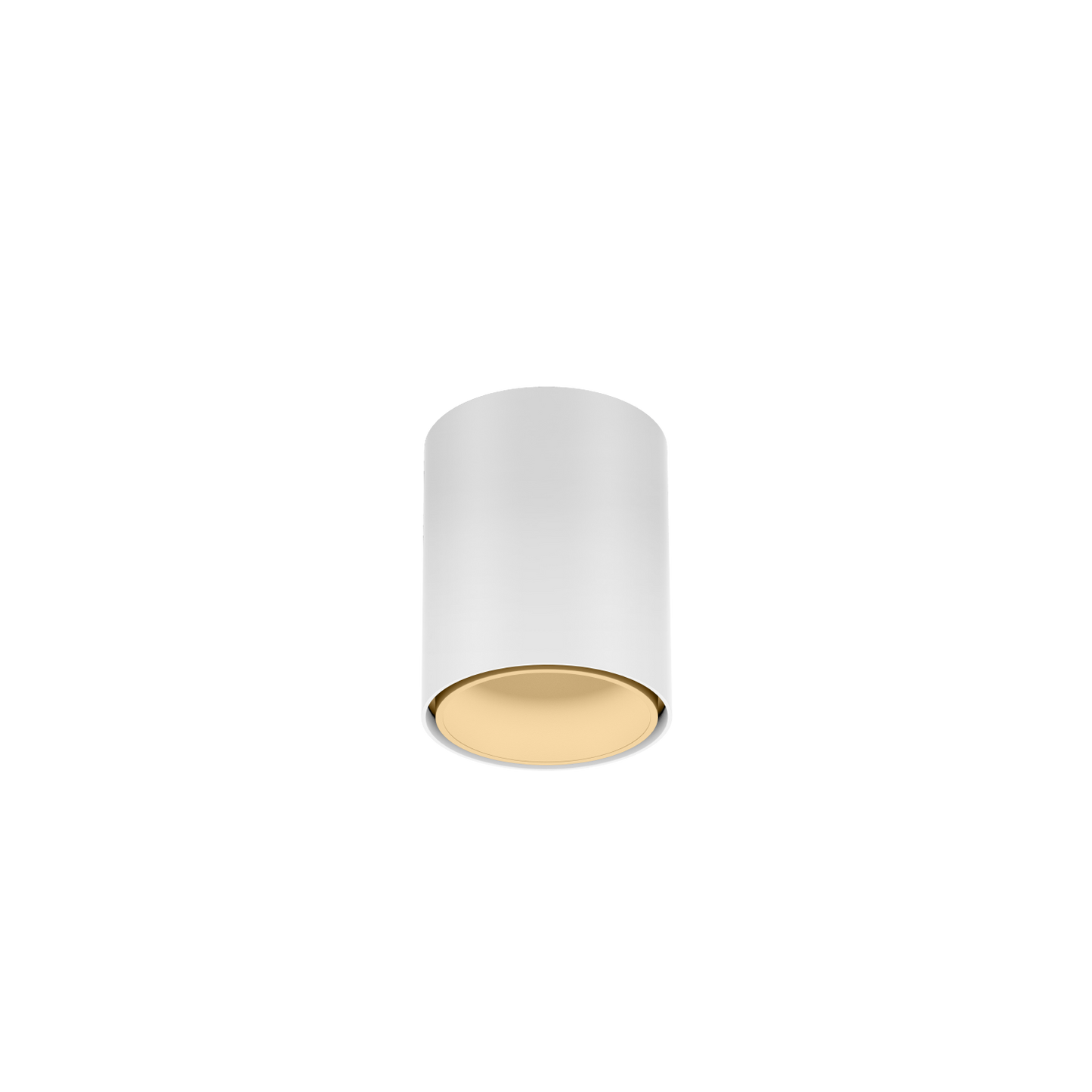 Ray Mini 1.0 LED 2700K Plafonniers
