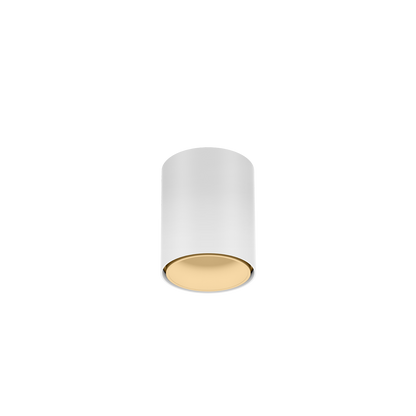 Ray Mini 1.0 LED 2700K Plafonniers