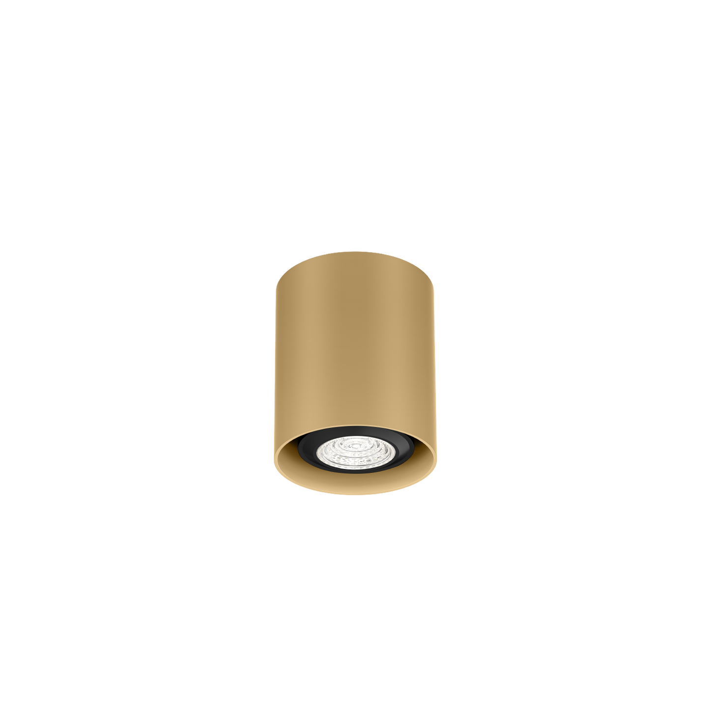 Ray Mini 1.0 PAR16 Plafonniers