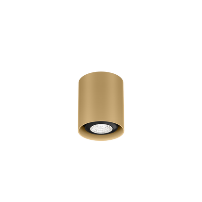 Ray Mini 1.0 PAR16 Plafonniers