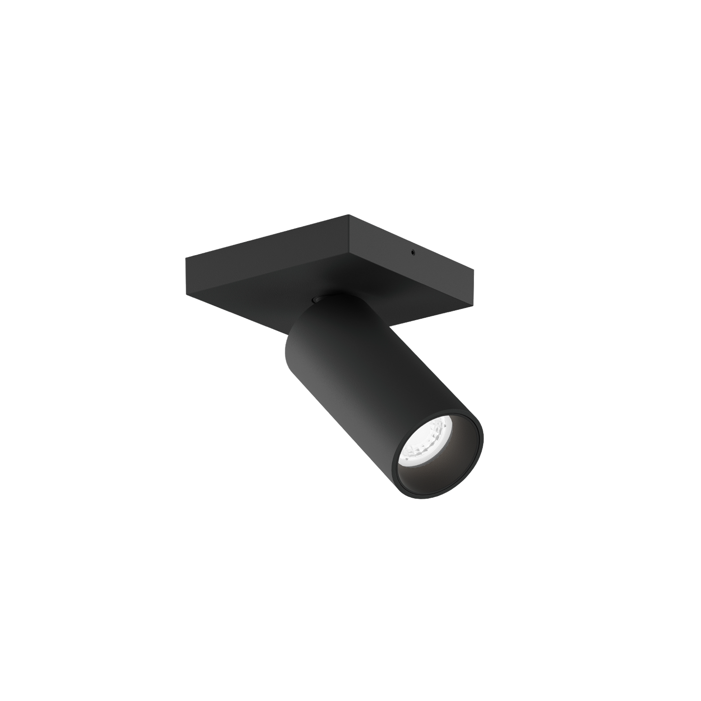 Pillo 1.0 PAR11 Plafonniers