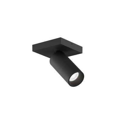 Pillo 1.0 PAR11 Plafonniers