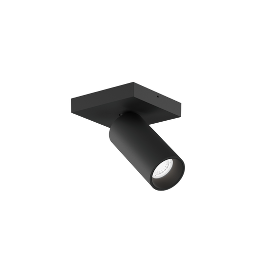 Pillo 1.0 PAR11 Plafonniers