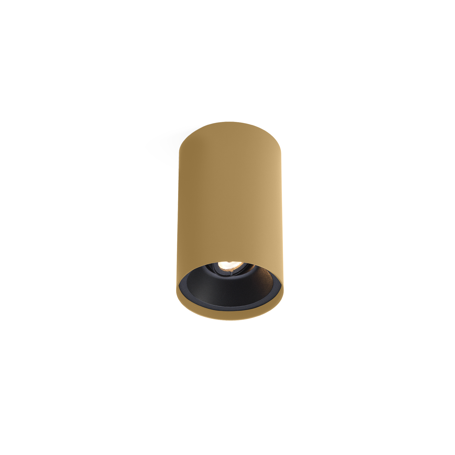 Champagne brossé + Noir mat