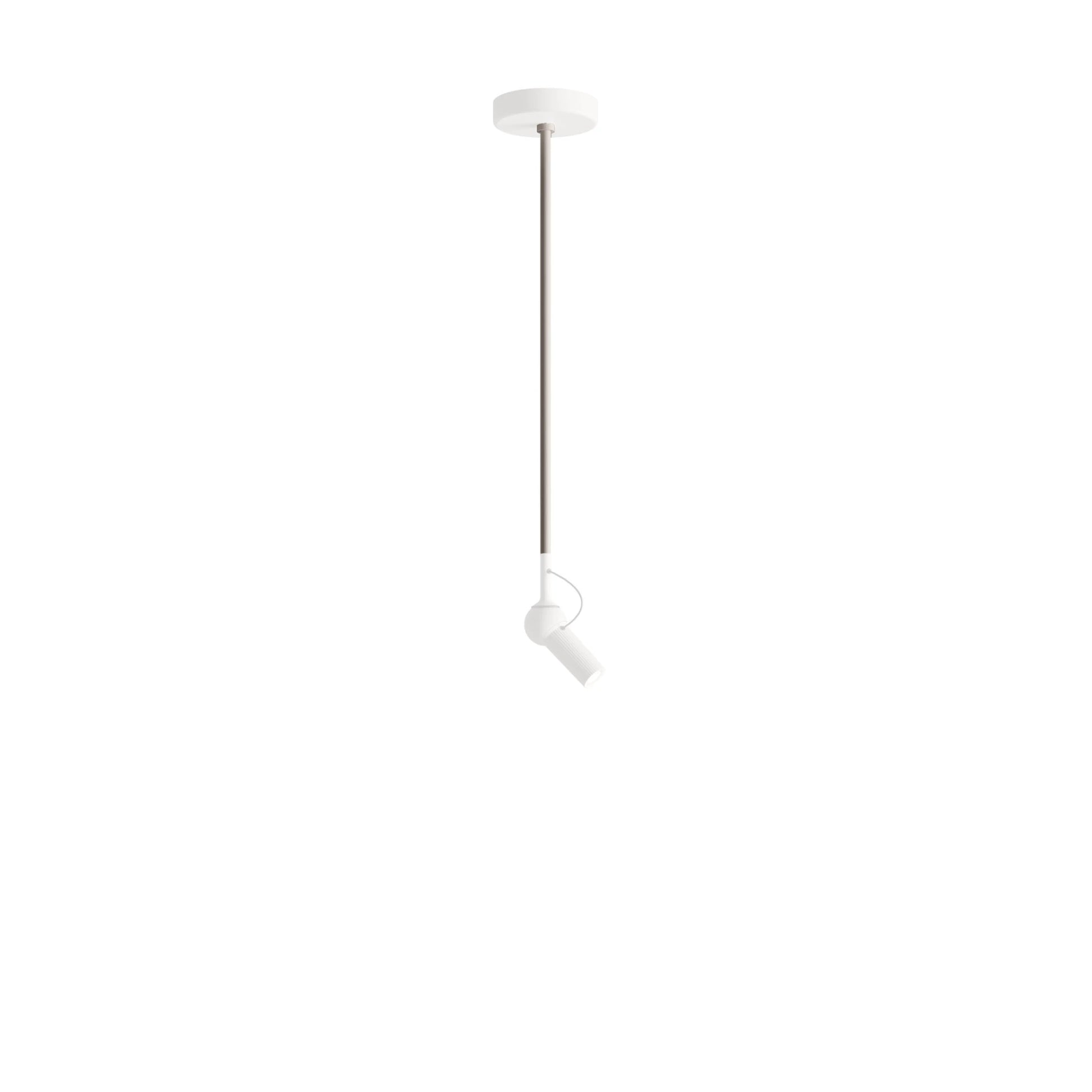 Tige 50,5cm pour Suspensions / Plafonniers Bird blanc 1