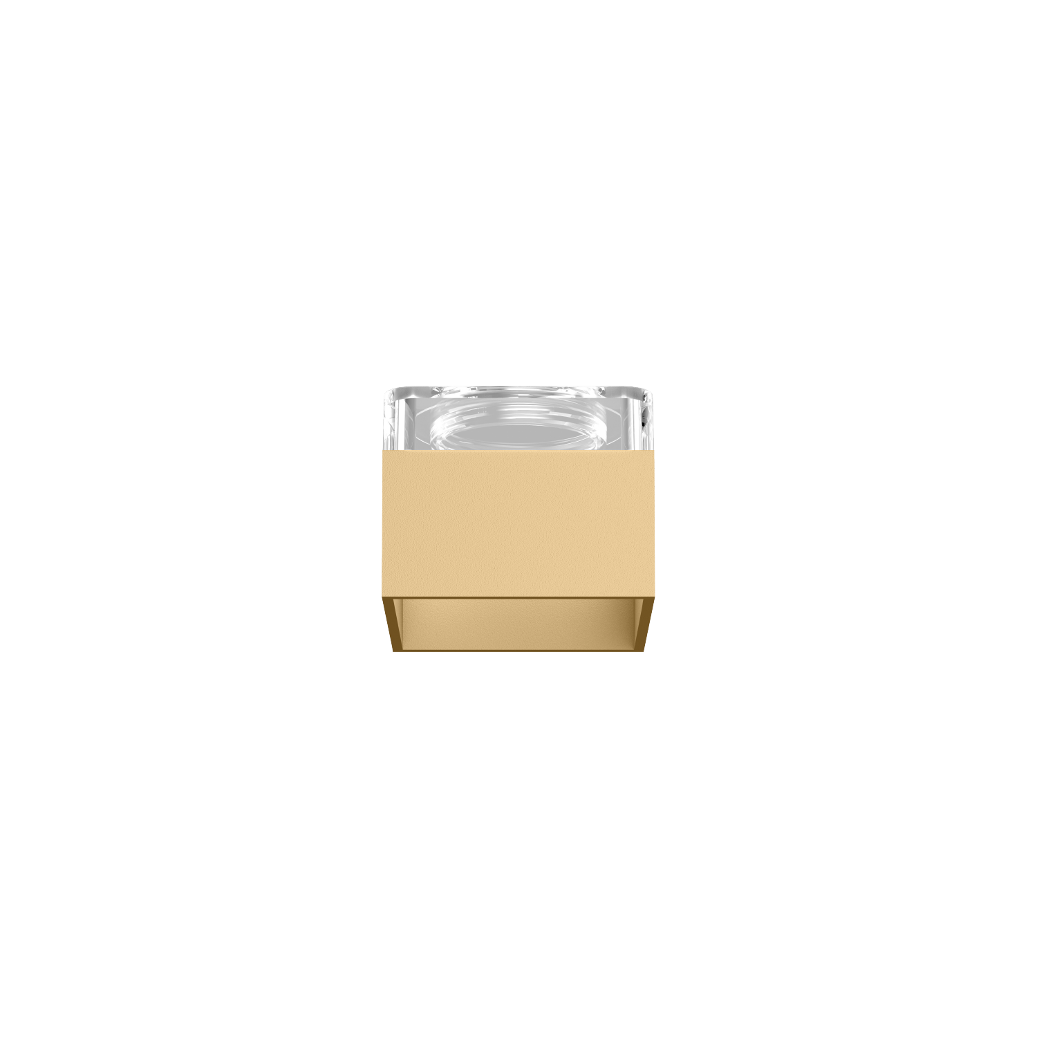 Champagne