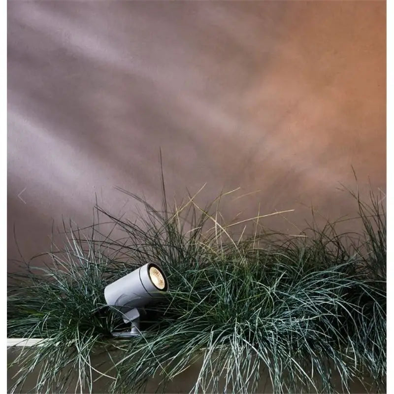 Bayville Spike Spot IP65 Spots Outdoor