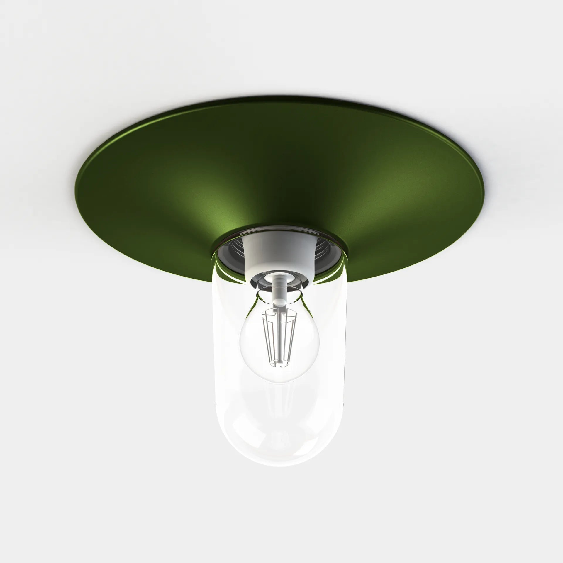 Vert fougère