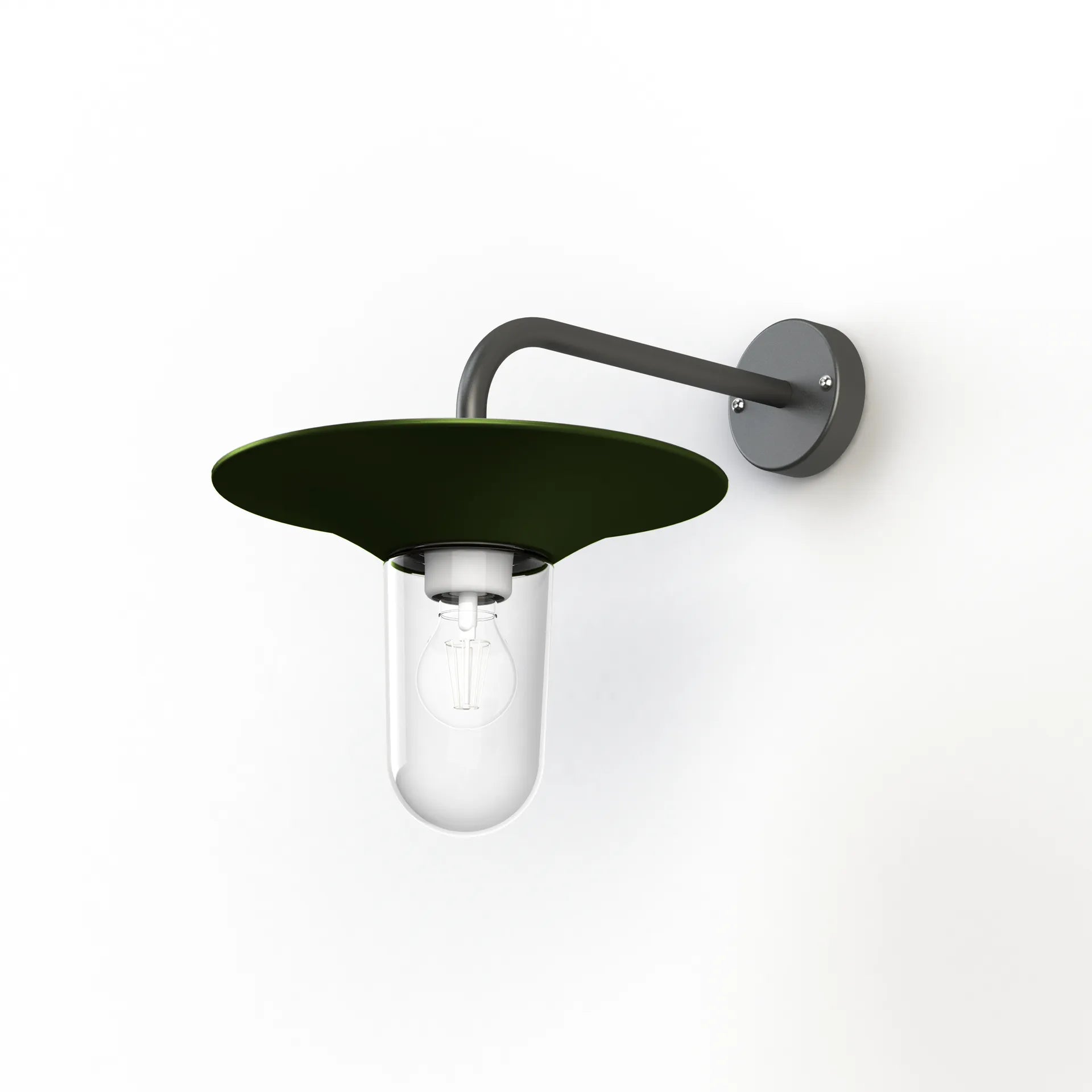 Vert fougère