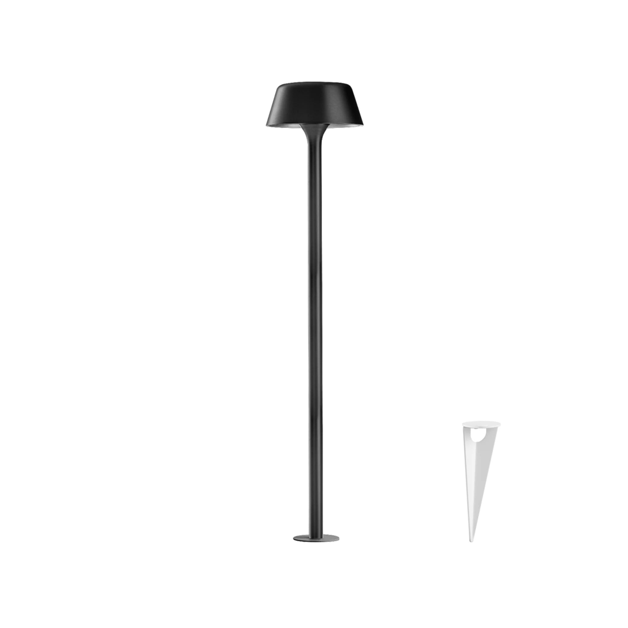Noir