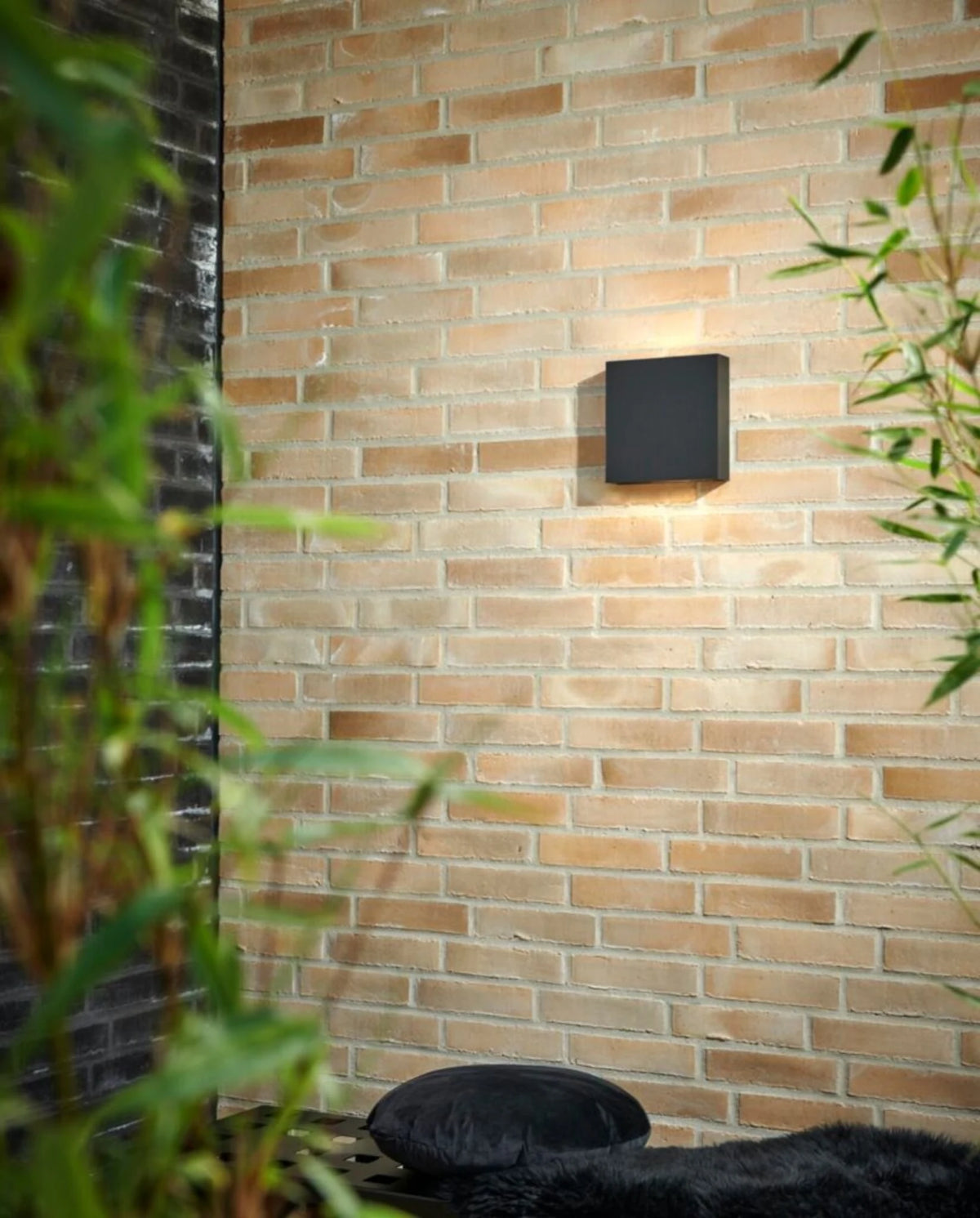 Compact Up/Down W2 Appliques murales