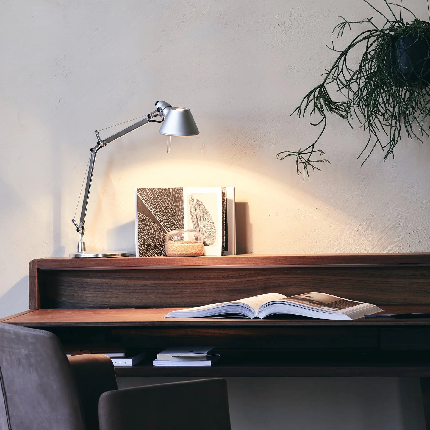 Tolomeo Lampes de bureau