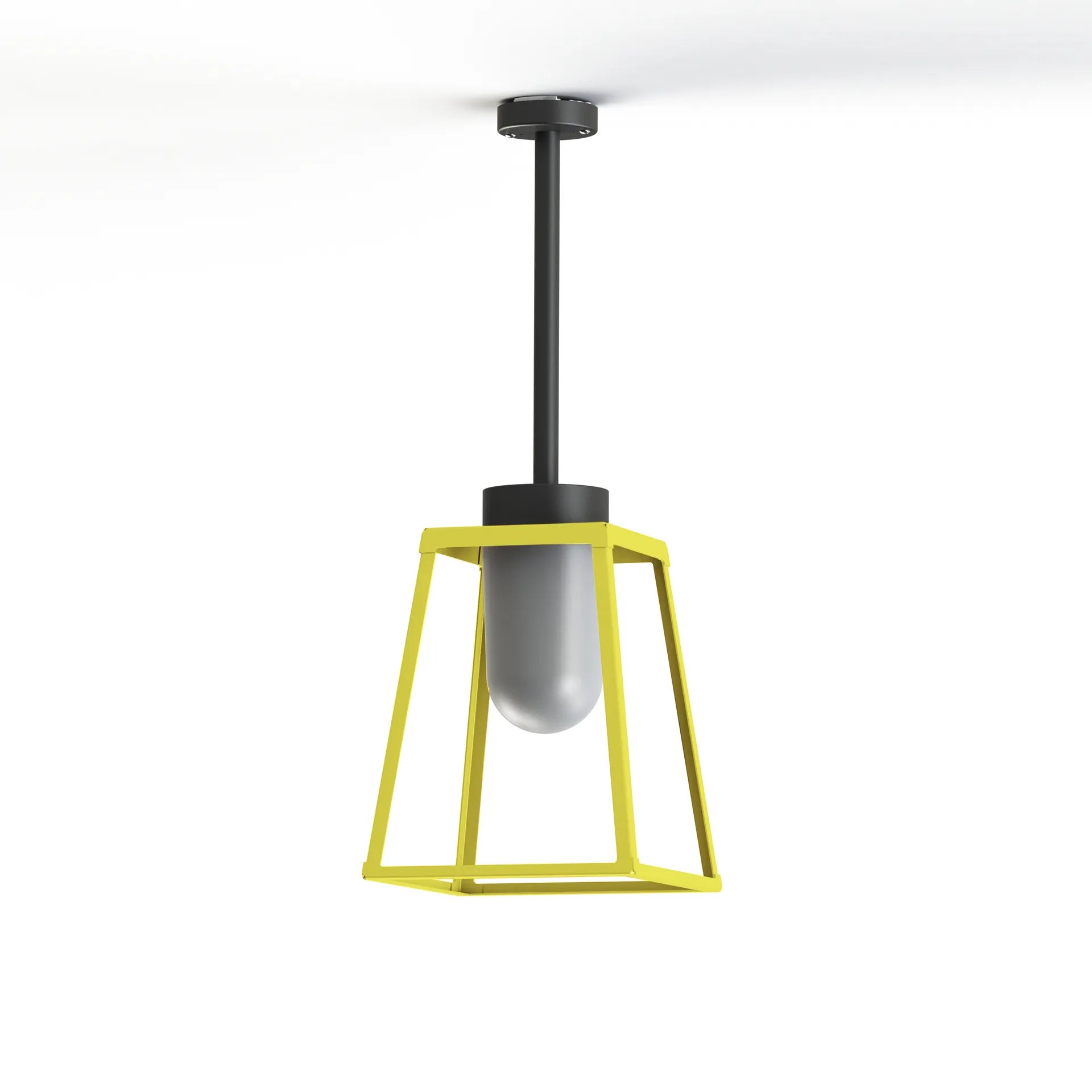 Jaune soufre - Gris noir