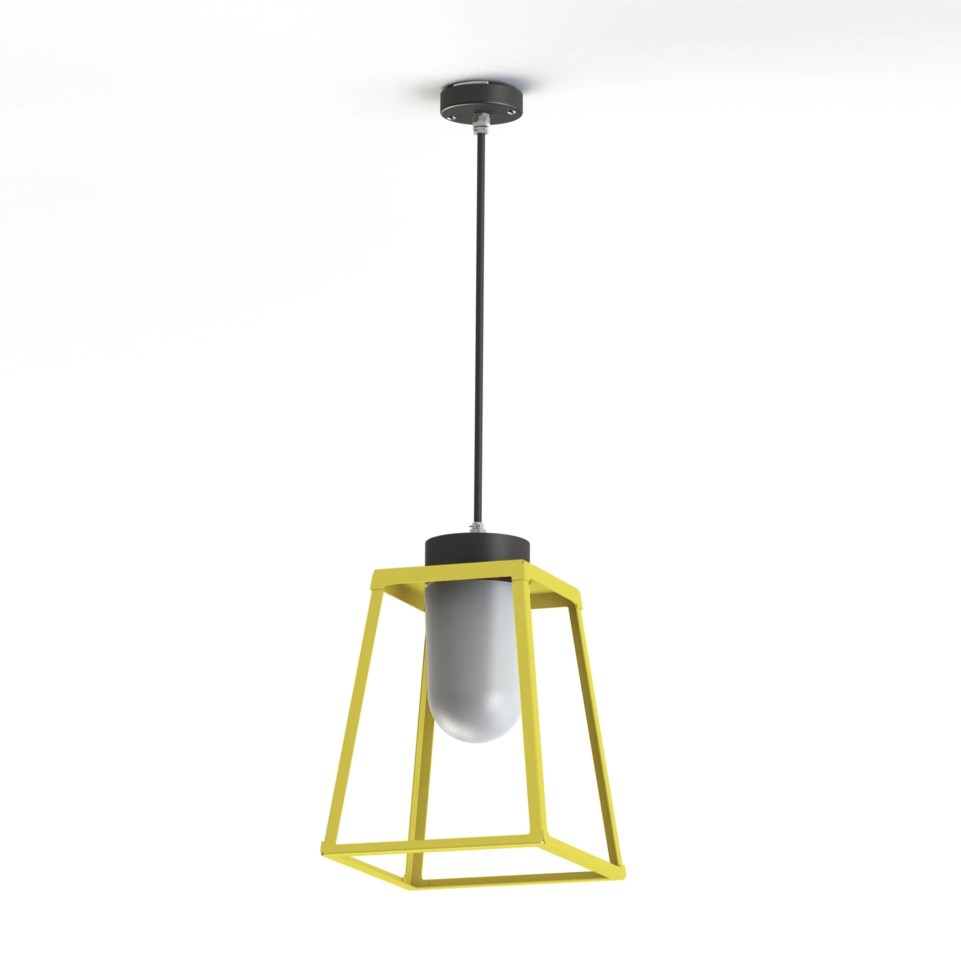 Jaune soufre - Gris noir