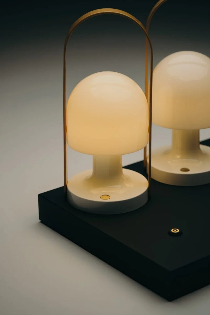 Base de recharge multiple pour FollowMe