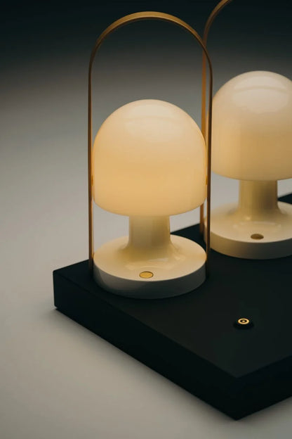 Base de recharge multiple pour FollowMe