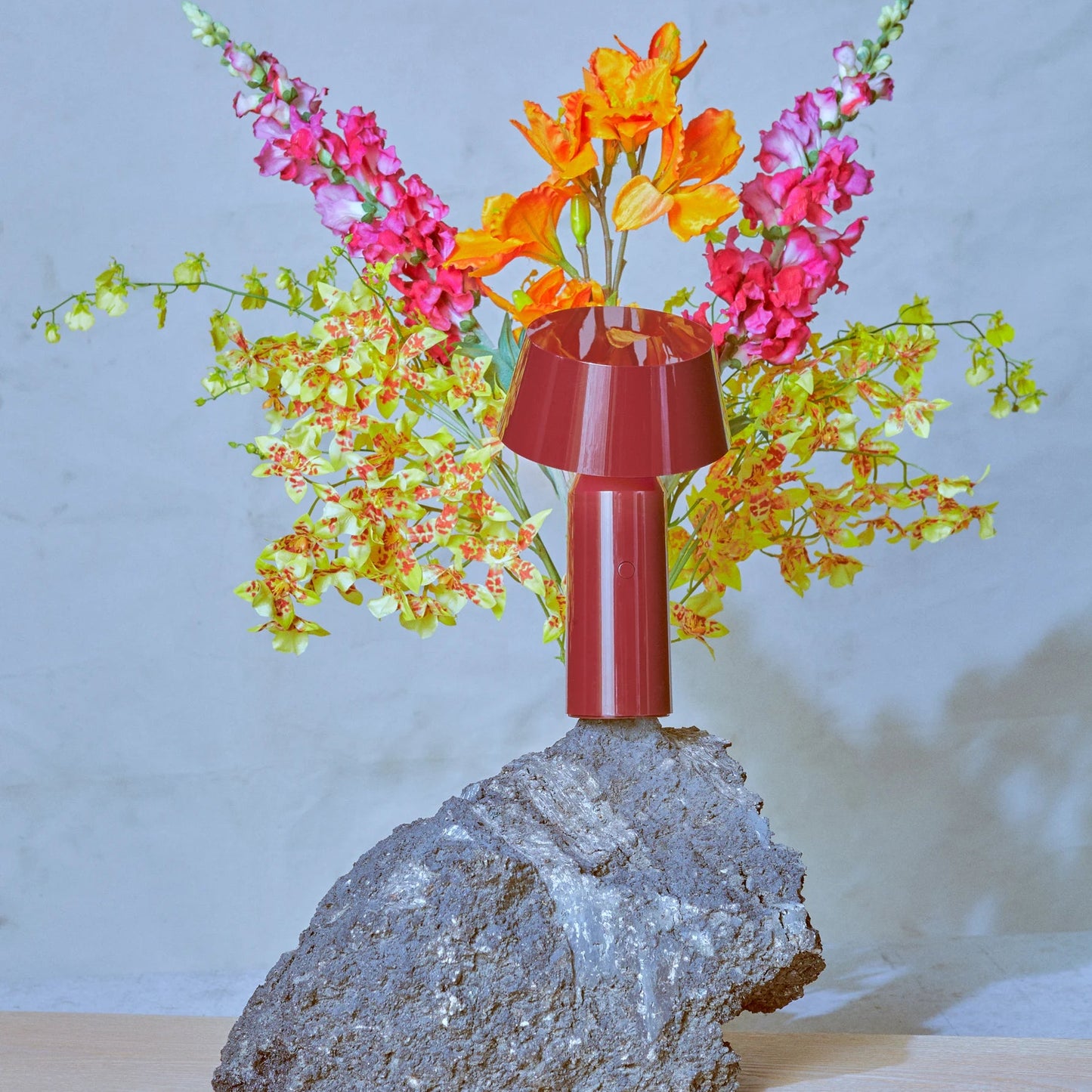 Bicoca Baladeuses et nomades LED