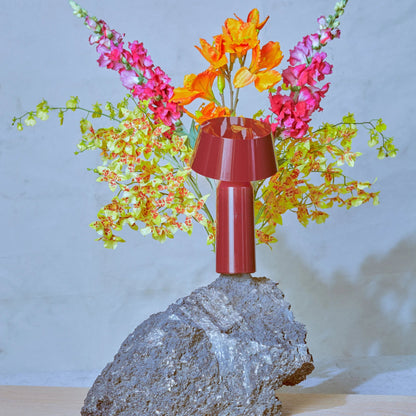 Bicoca Baladeuses et nomades LED