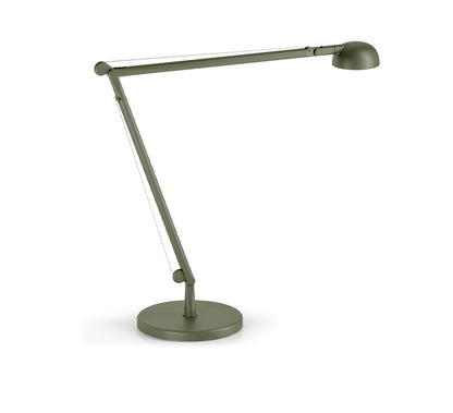 Opuntia Lampes de Bureau