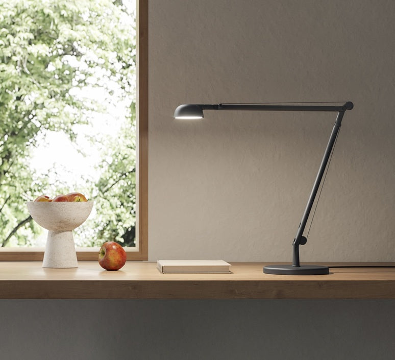Opuntia Lampes de Bureau