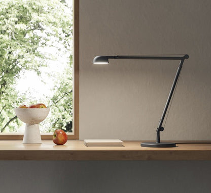 Opuntia Lampes de Bureau
