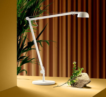 Opuntia Lampes de Bureau