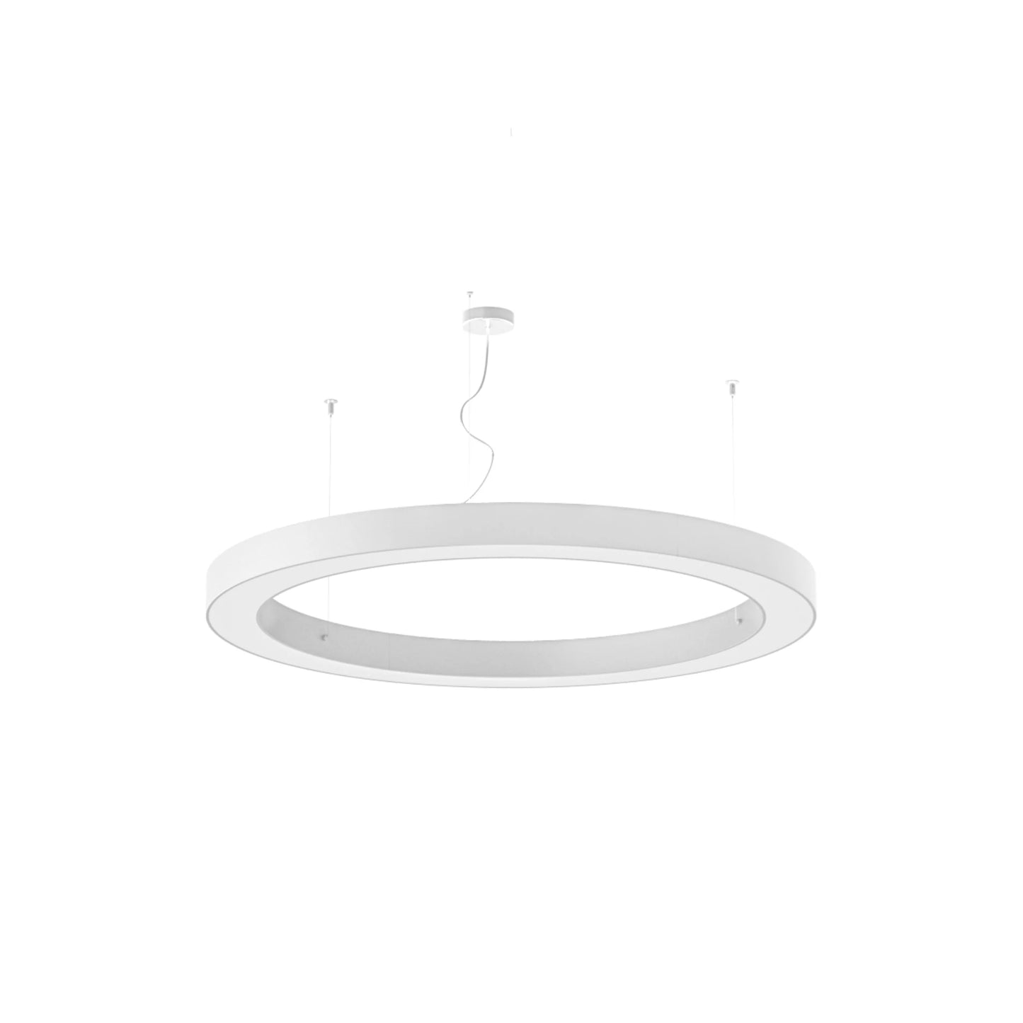 Silver Ring 120cm Suspensions