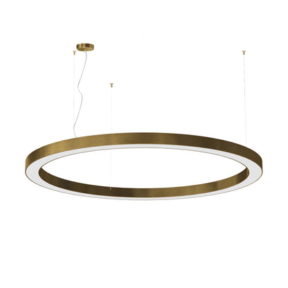 Silver Ring 180cm Suspensions