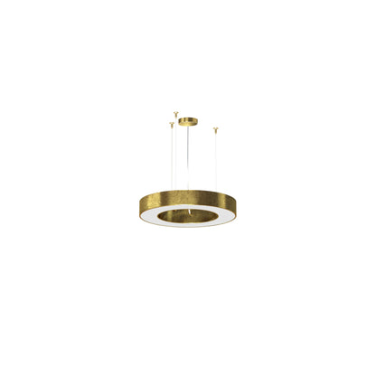 Silver Ring 50cm Suspensions