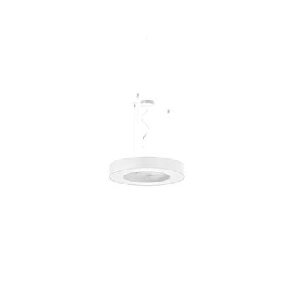 Silver Ring 50cm Suspensions