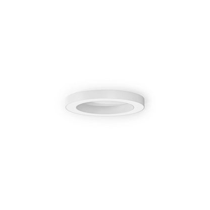 Silver Ring 80cm Suspensions