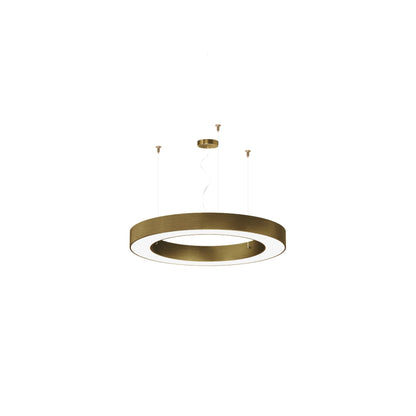 Silver Ring 80cm Suspensions