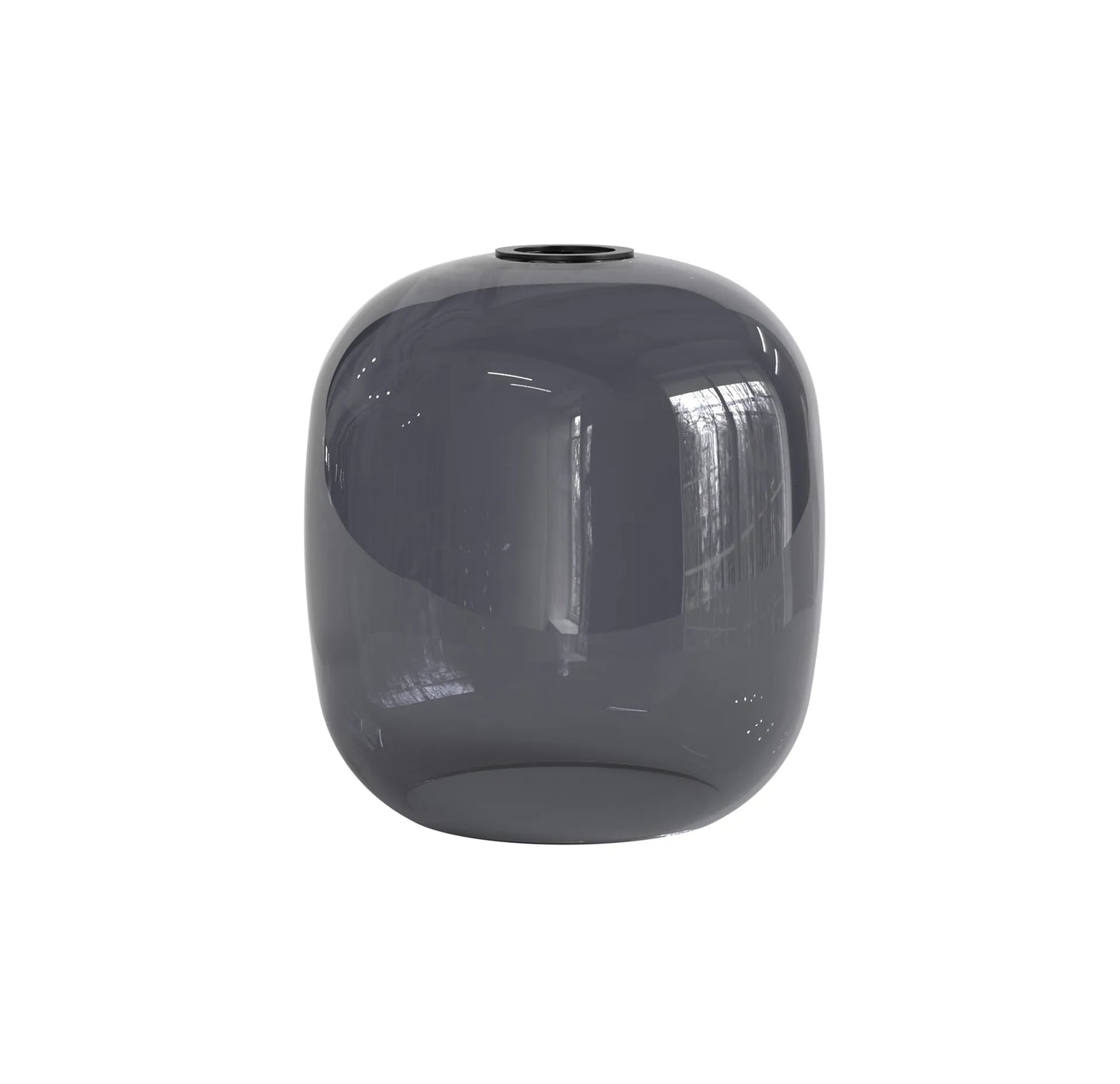 Curve Glass 220 Fumé foncé Verres Accessoires