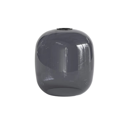 Curve Glass 220 Fumé foncé Verres Accessoires